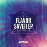 The Flavor Saver EP Vol. 12 - Salted Music