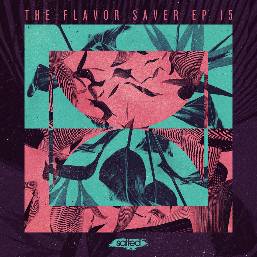 SLT085: The Flaver Saver EP Vol 15 - Salted Music