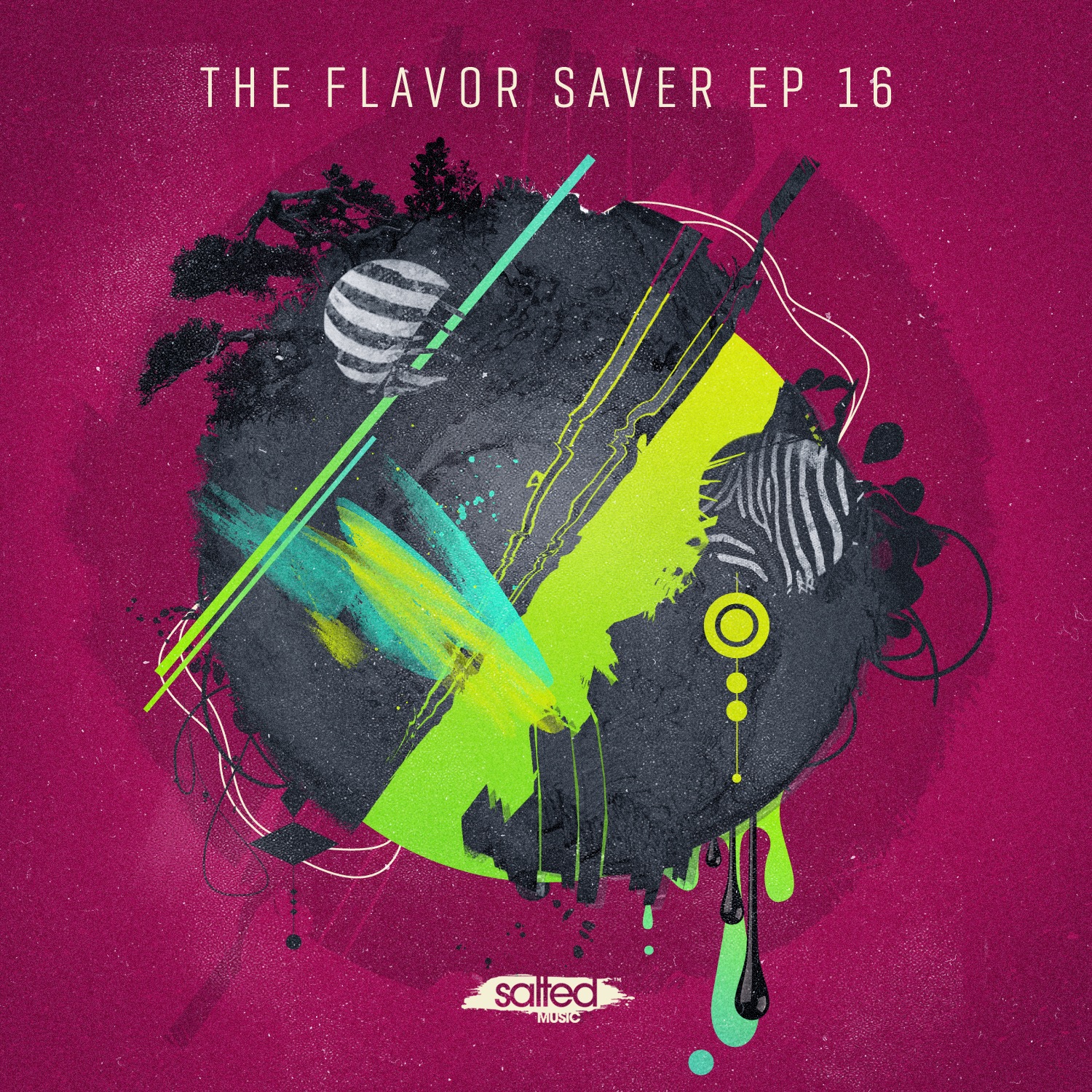 SLT089: The Flavor Saver EP Vol 16 (Salted Music)