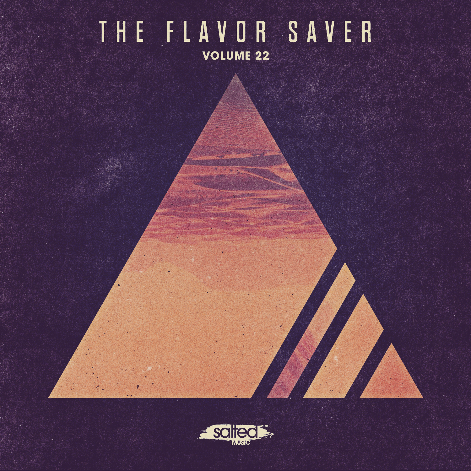 SLT127: The Flavor Saver Vol. 22 (Salted Music)