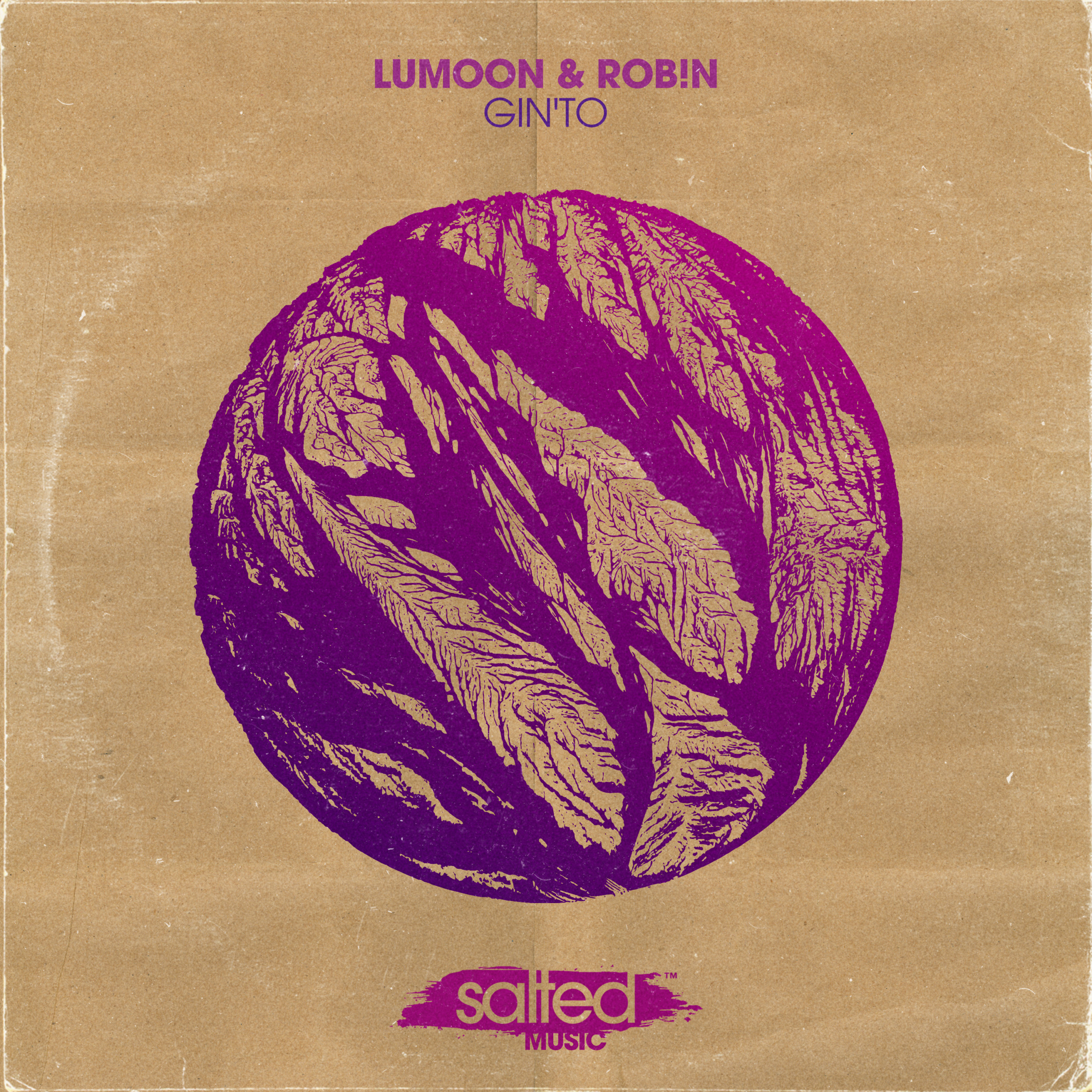 SLT128: Gin'To - Lumoon & Rob!n (Salted Music)