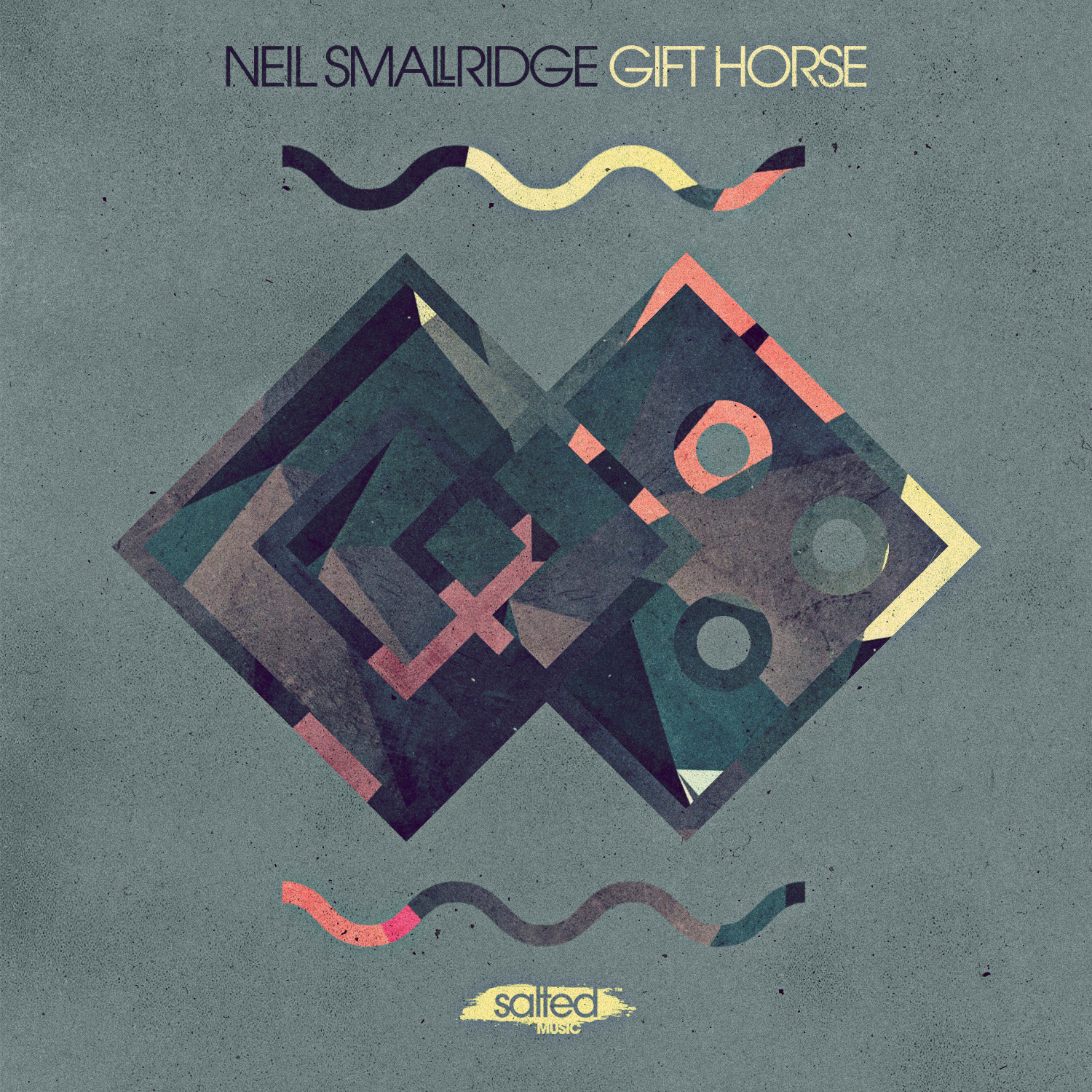 SLT134: Gift Horse - Neil Smallridge (Salted Music)
