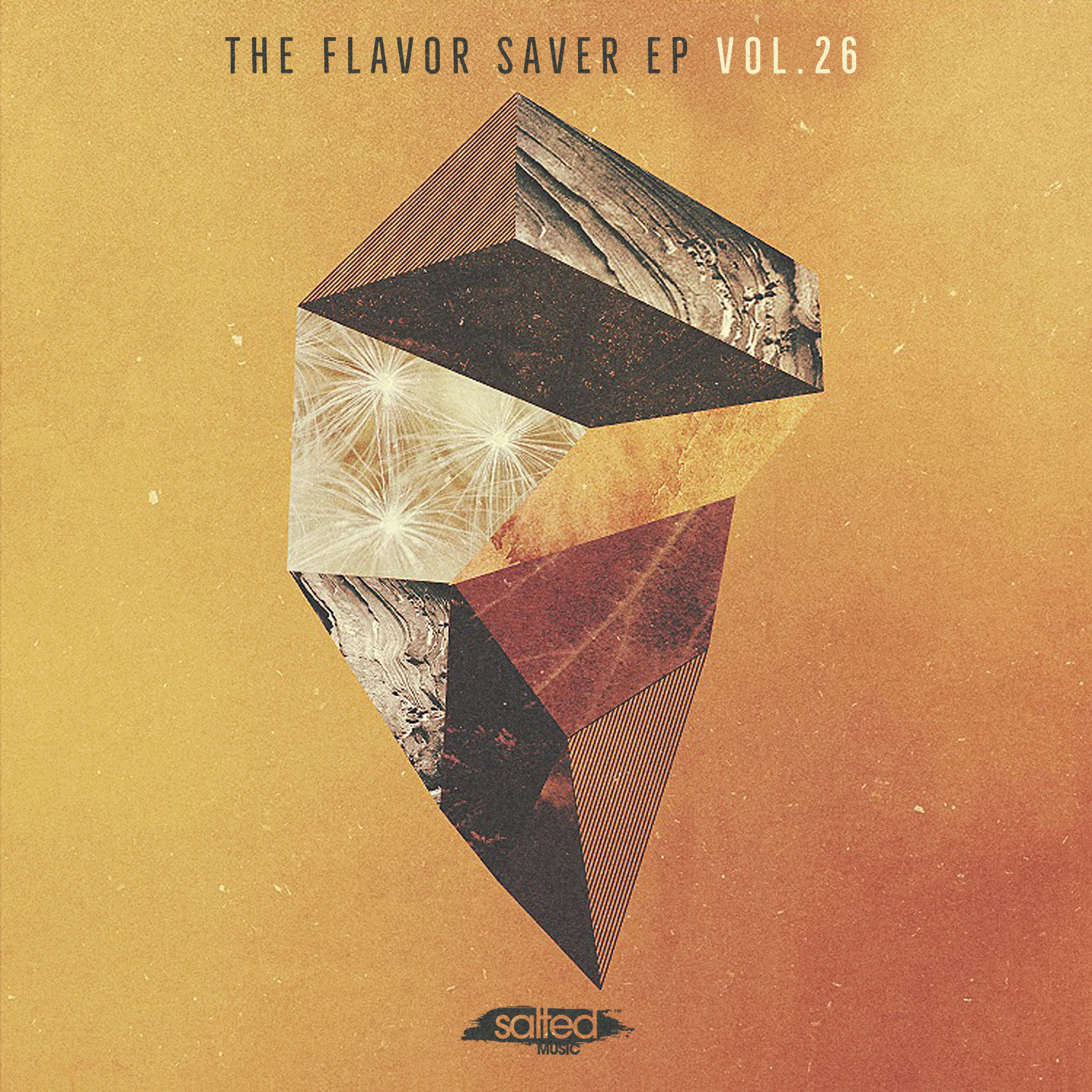 SLT159: The Flavor Saver EP Vol. 26 (Salted Music)