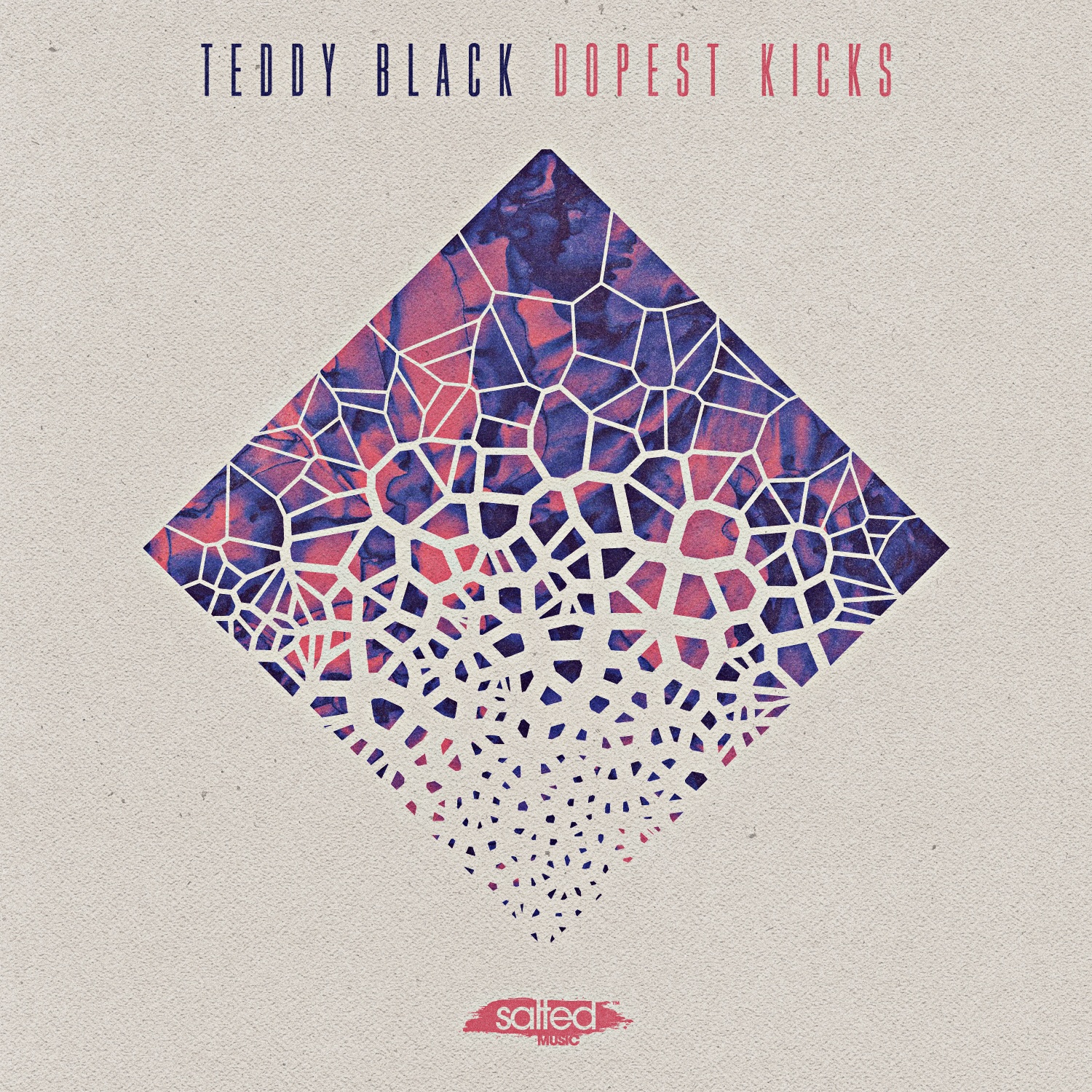 SLT183: Dopest Kicks - Teddy Black (Salted Music)
