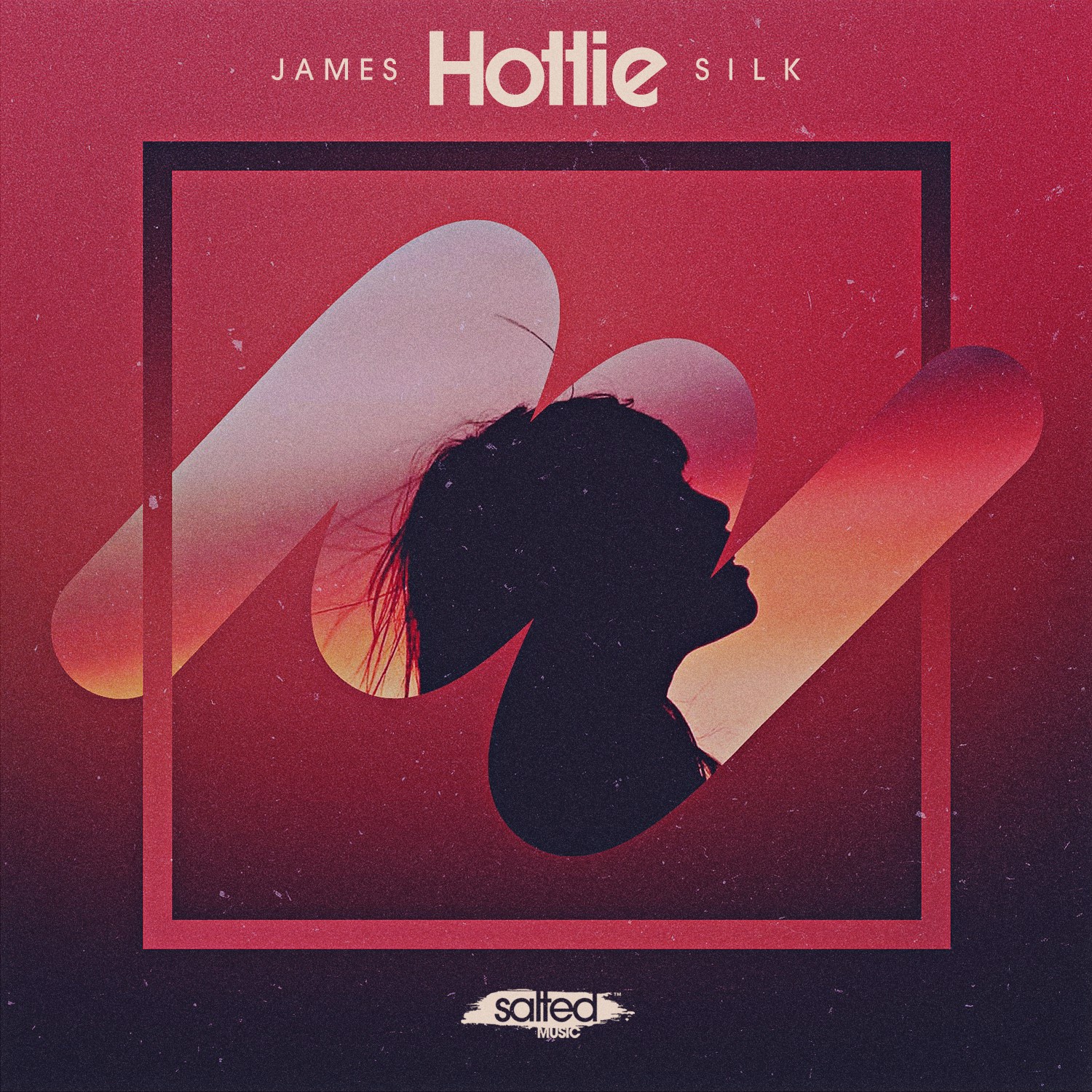 SLT204: James Silk - Hottie (Salted Music)
