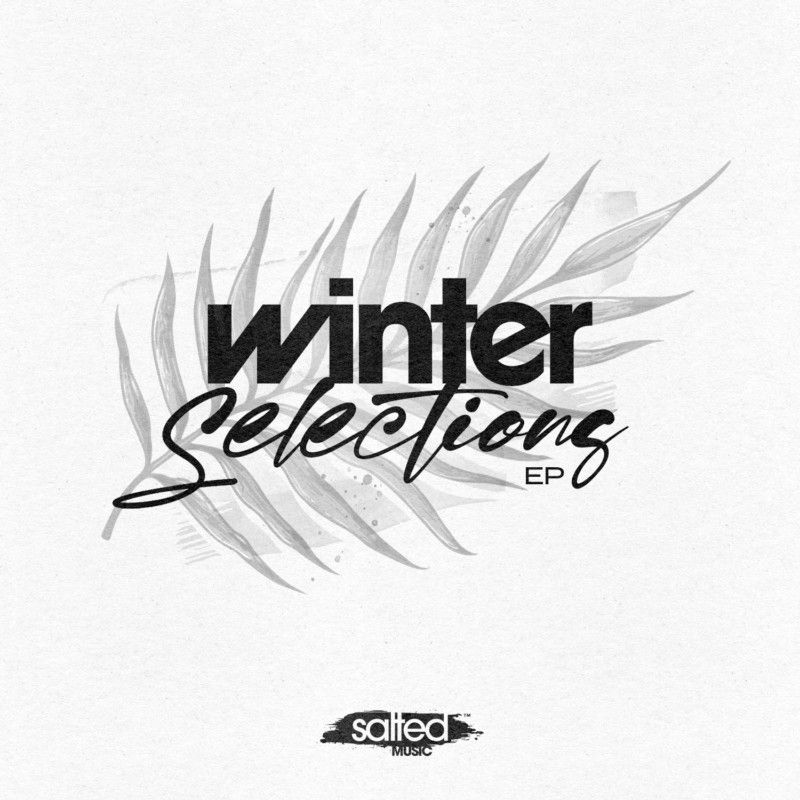 SLT222: Winter Selections EP - Various Artists (Salted Music)