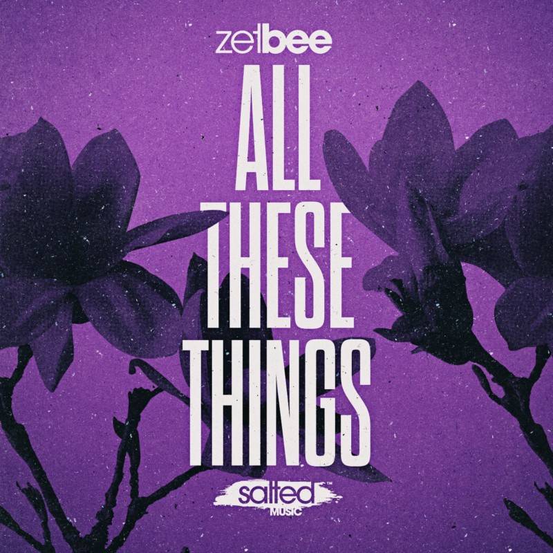 SLT233: Zetbee - All These Things (Salted Music)